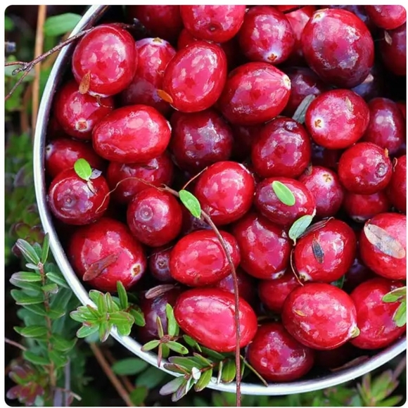 Box Of 1oz. & 2oz. Fragrance Oils For Soap & Candle Making (35 Full Bottles) - Picture 14 of 16